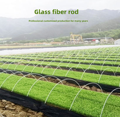 Lichtgewichtglasvezelfrp Rod For Agricultural Greenhouse Tunnel Steun