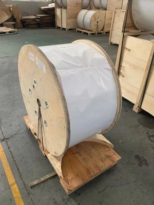 Niet Metaal het Lidfrp Versterking Rod Anti Corrosion van CSM FRP